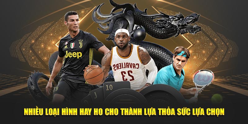 Nhiều loại hình hay ho cho thành lựa thỏa sức lựa chọn