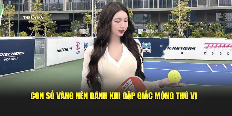 Con số vàng nên đánh khi gặp giấc mộng thú vị