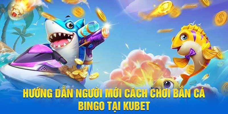 Hướng dẫn người mới cách chơi Bắn Cá Bingo tại Kubet