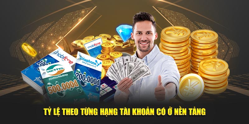 Tỷ lệ theo từng hạng tài khoản có ở nền tảng